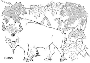 Sanat terapisi için boyama. Hayvanlar ve Avrupa 'nın Doğası. Renkli sayfalarla dolu bir dünya turu ile rahatlatıcı ve eğitici bir yolculuk.