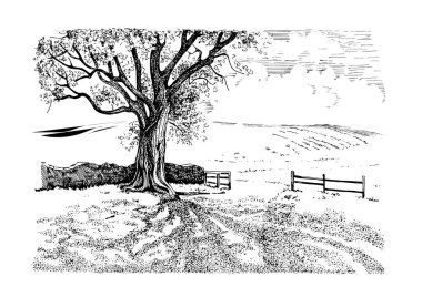 Kırsal alan, ağaç ve dere. El çizimi vektöre çevrildi.