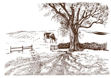 Kırsal alan, ağaç ve dere. El çizimi vektöre çevrildi.