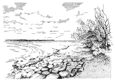 Göl kıyısına dağılmış kayalar. Çizgi sanat manzarası çizimi vektöre çevrildi.