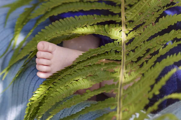 Tiny feet and tiny toes under the big green leaf