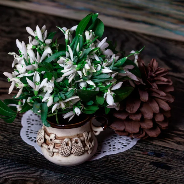 The first snowdrops in the vase and fir cone. Heart. Wood textur — Stock Photo, Image