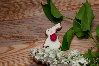 Beyaz Lila ile beyaz tatlı bunny