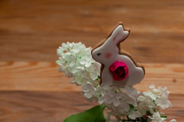 Beyaz Lila ile beyaz tatlı bunny