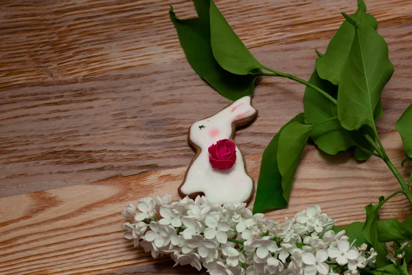 Beyaz Lila ile beyaz tatlı bunny