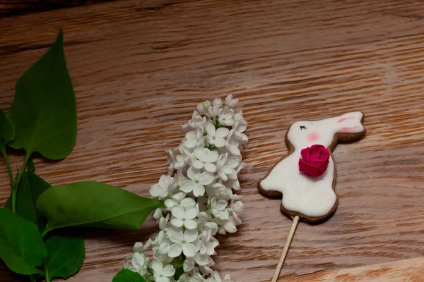 Beyaz Lila ile beyaz tatlı bunny