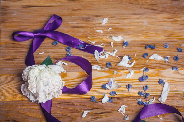 Violette Schleife und weiße Pfingstrose. Blumenblätter. Dekorationsbogen — Stockfoto