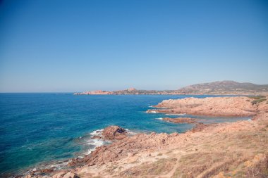 Yaz aylarında deniz. Parlak güneş. Huzurlu manzara. Sardunya.