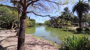 Arjantin 'in La Plata kentindeki sakin Bosque Gölü' nü ortaya çıkarmak için yavaş yavaş ağaçların ve dalların arasından süzülen yumuşak, sinematik bir video..
