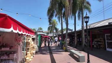 Porto de Frutos Tigre Buenos Aires Arjantin 'de hasır mobilya ve el işi satan sıra sıra palmiye ağaçlarıyla açık hava yürüyüşü.