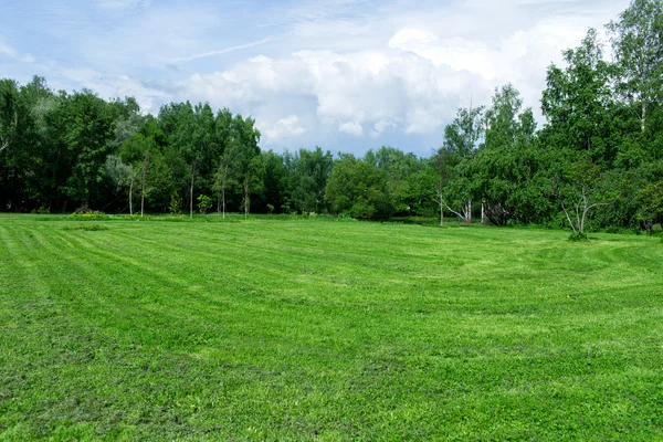 Zielona łąka w letni dzień — Zdjęcie stockowe