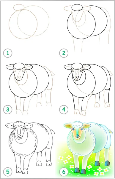 На сторінці показано, як навчитися покроково малювати вівцю . — стоковий вектор