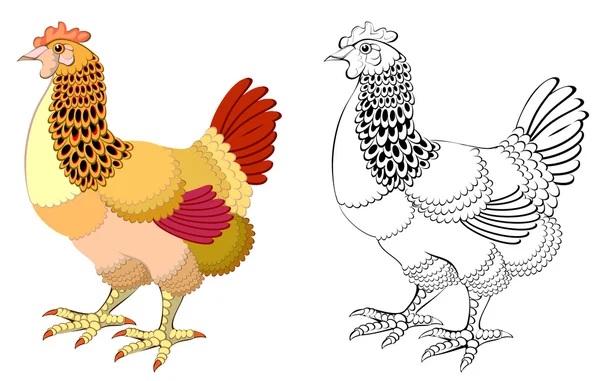 Coloré et motif noir et blanc poule . — Image vectorielle