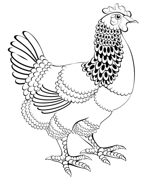 Ilustración en blanco y negro de gallina . — Archivo Imágenes Vectoriales