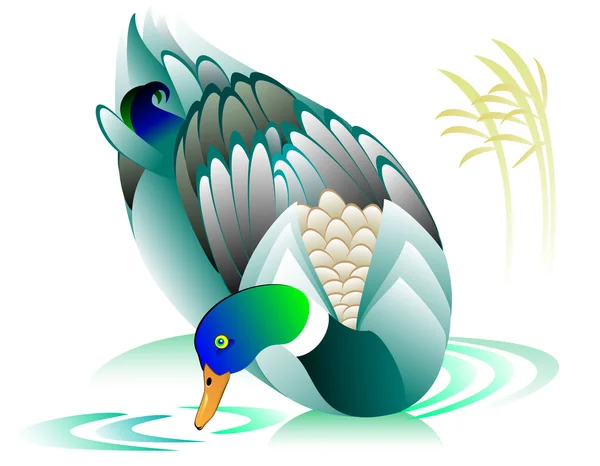 Illustration de canard nageur . — Image vectorielle