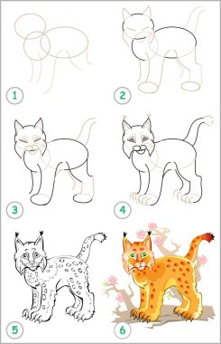 Nasıl adım adım bir vaşak çizmek öğrenmek için sayfa gösterir.