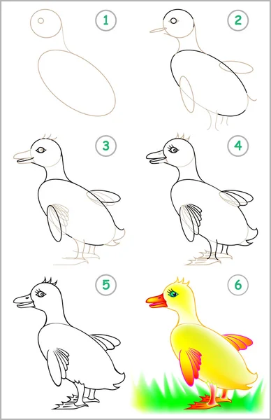 Stránka ukazuje, jak se krok za krokem naučit kreslit malá kachna. — Stockový vektor