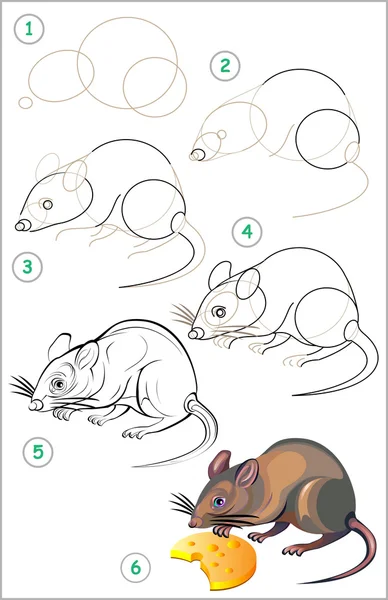 Пейдж показывает, как научиться шаг за шагом рисовать крысу . — стоковый вектор
