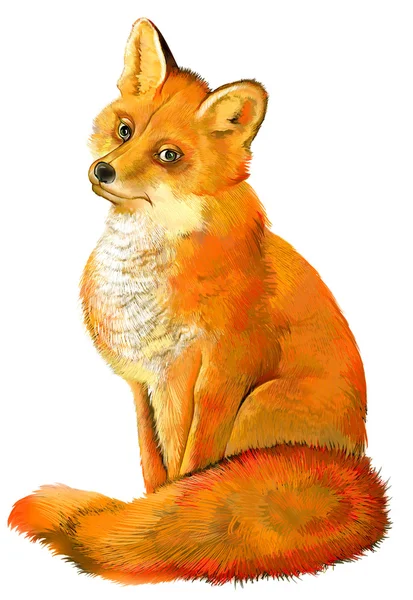 Ilustrace roztomilé lišky na bílém pozadí. — Stock fotografie
