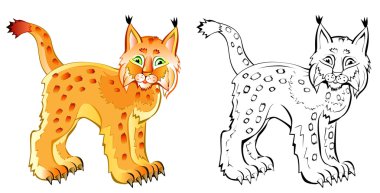 Renkli ve siyah-beyaz desen lynx.