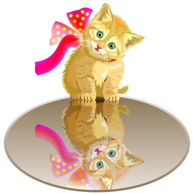 Küçük kedi yavrusu yansıtmayı siting.