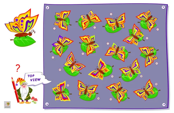 Logik Puzzle Für Kinder Müssen Sie Die Richtige Ansicht Des — Stockvektor