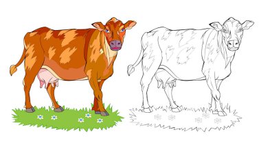 Boyama kitabı için sayfa. Çayırdaki şirin inek tasviri. Online eğitim. Çocuklar için hayvanlar. Çocuklar ve yetişkinler için çizim ve meditasyon için basılabilir çalışma tablosu. Okula geri dön..