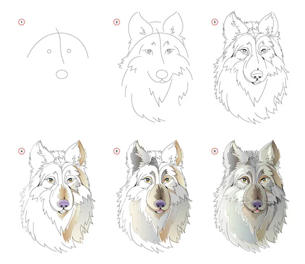Hoe Leren Tekenen Schets Van Sprookjesachtige Wolven Hoofd Creatie Stap — Stockvector