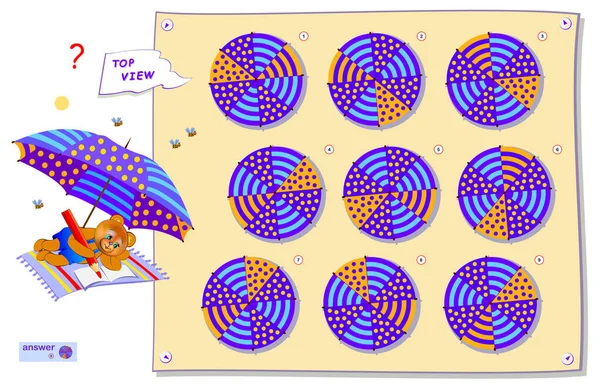 Логическая Головоломка Игры Детей Взрослых Нужно Найти Правильный Вид Сверху — стоковый вектор