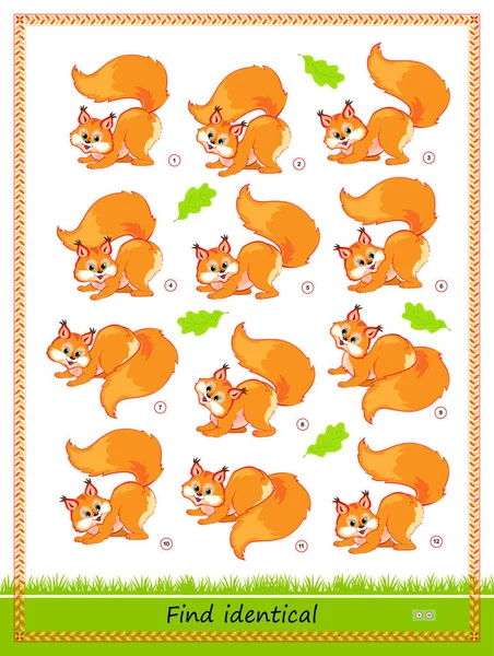 Logic Puzzle Game Children Adults Find Two Identical Squirrels Memory — Stock Vector