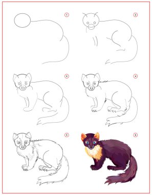 Mermer nasıl çizilir? Çocuklar için eğitim sayfası. Yaratılışın adım adım hayvan çizimi. Çocuk eğitim kitabı için basılabilir çalışma tablosu. Çevrimiçi eğitim.