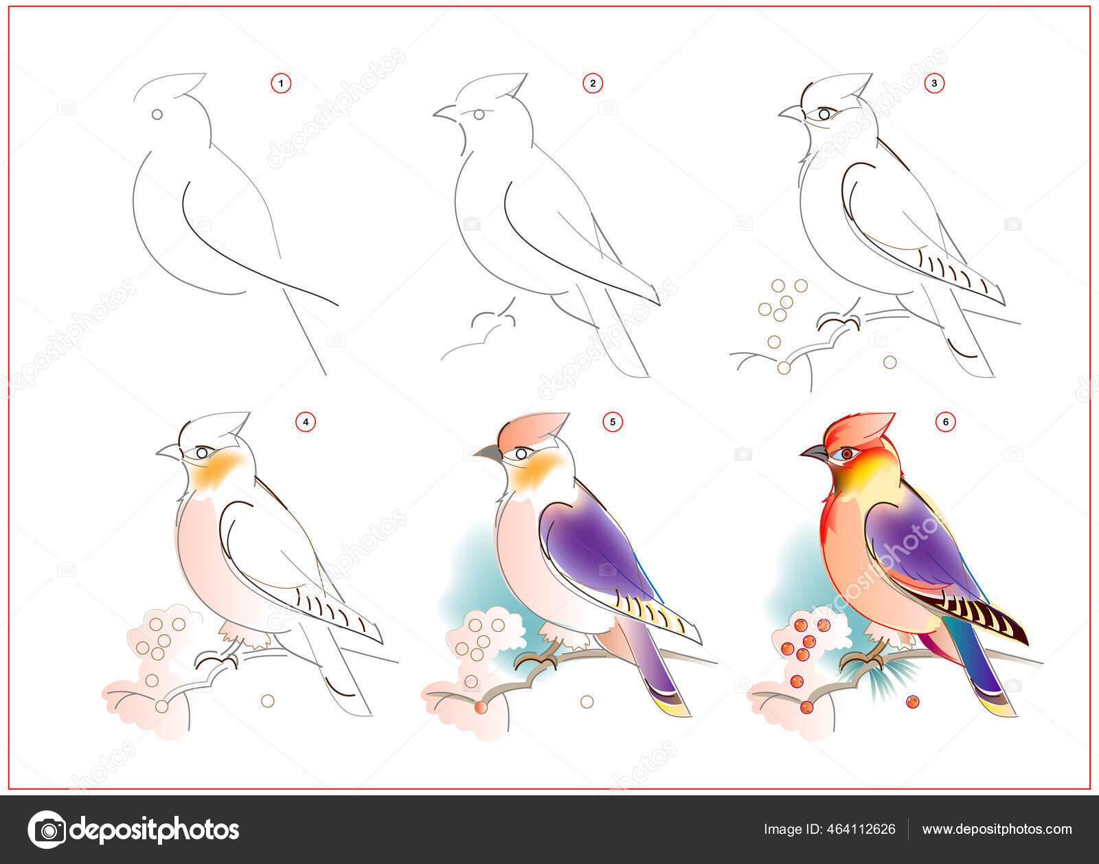 Cara Belajar Menggambar Sketsa Burung Bersayap Lilin Penciptaan Langkah  Demi Vektor Stok oleh ©Nataljacernecka 464112626, image size:1600x1258