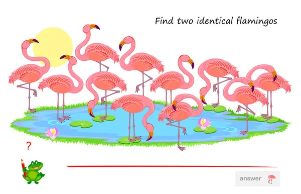 Jeu Puzzle Logique Pour Enfants Adultes Trouvez Deux Flamants Roses — Image vectorielle