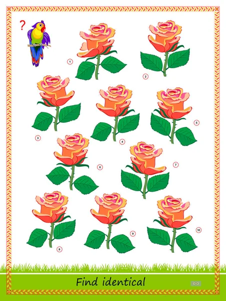 Logic Puzzle Game Children Adults Find Two Identical Roses Memory — 图库矢量图片