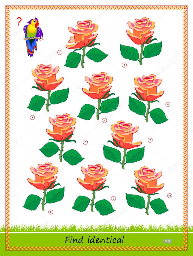 Logic puzzle game for children and adults. Find two identical roses. Memory exercises for seniors. Printable page for kids brain teaser book. Developing spatial thinking. IQ test. Play online.