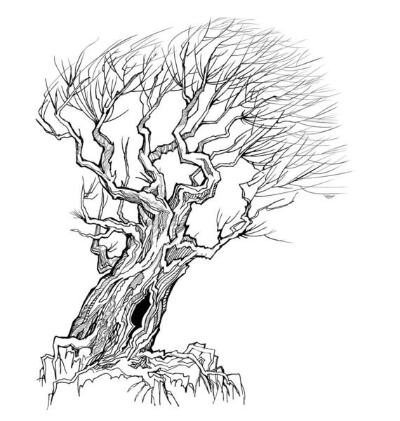 幻想中的古树抵御风的图解 秋天的风景与柳树轮廓 打印面料和纹身 黑白矢量图像 用墨水和笔迹作画 — 图库矢量图片