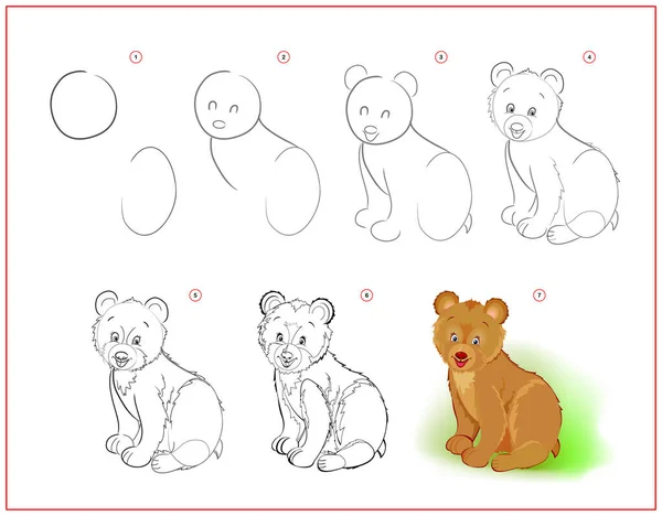 How Learn Draw Little Bear Educational Page Children Creation Step — Stock Vector