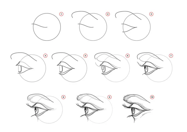 Página Mostra Como Aprender Desenhar Esboço Cobra Criação Passo Passo  imagem vetorial de Nataljacernecka© 618942014