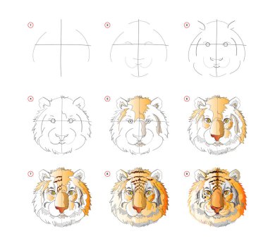 How to learn to draw sketch of tiger head. Creation step by step watercolor painting. Educational page for artists. Textbook for developing artistic skills. Online education. Animals for coloring. clipart