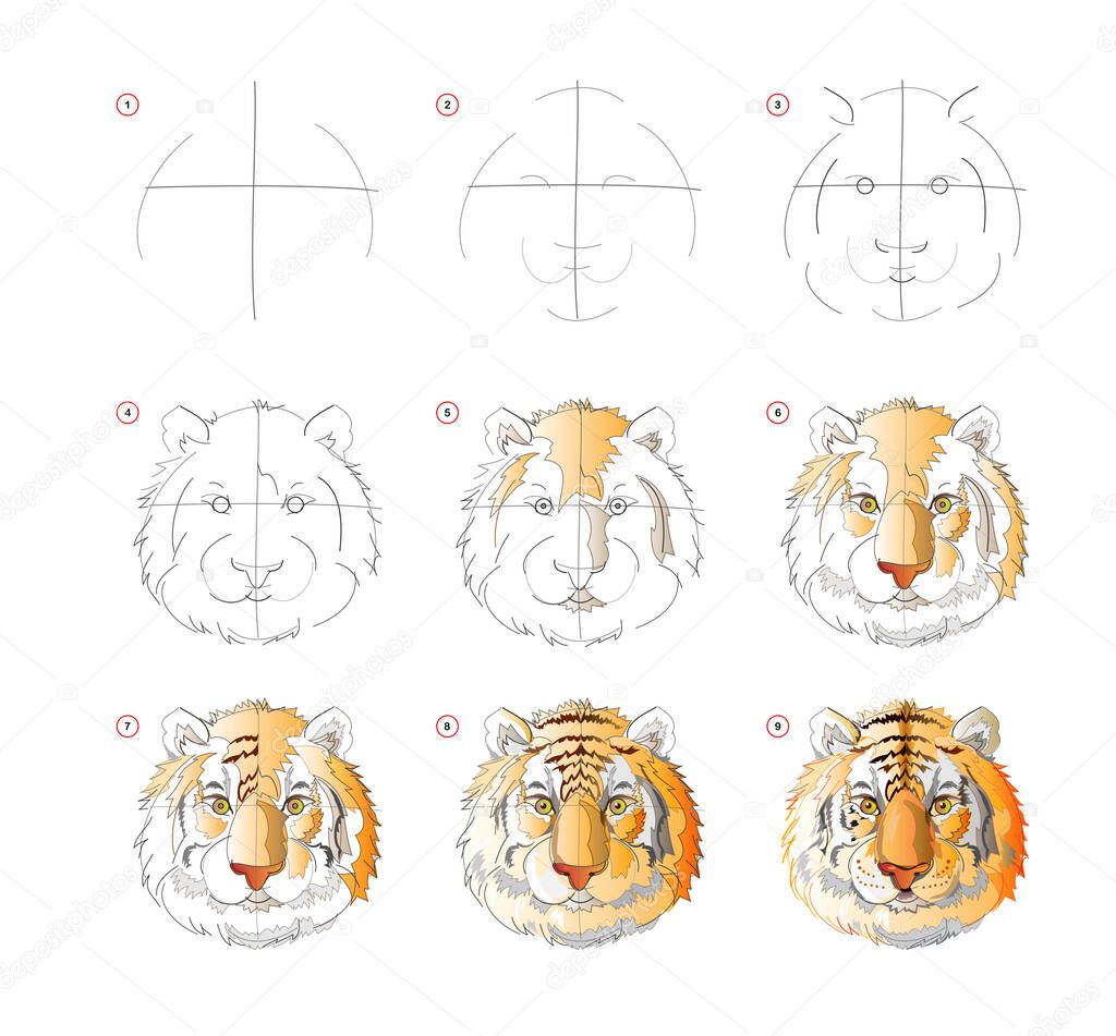 How to learn to draw sketch of tiger head. Creation step by step watercolor painting. Educational page for artists. Textbook for developing artistic skills. Online education. Animals for coloring.