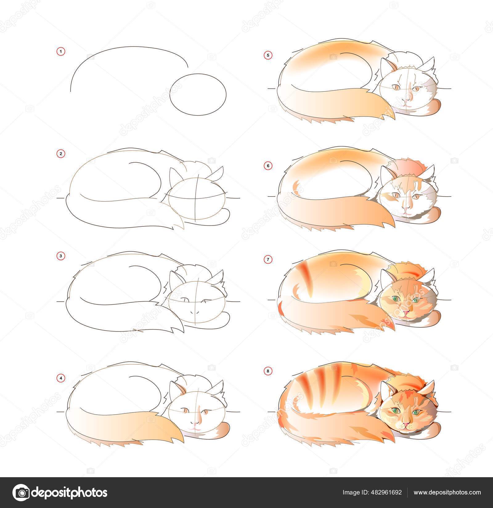 Como Desenhar um Gato - Esboço de um desenho de um Gato - Desenhos Realistas