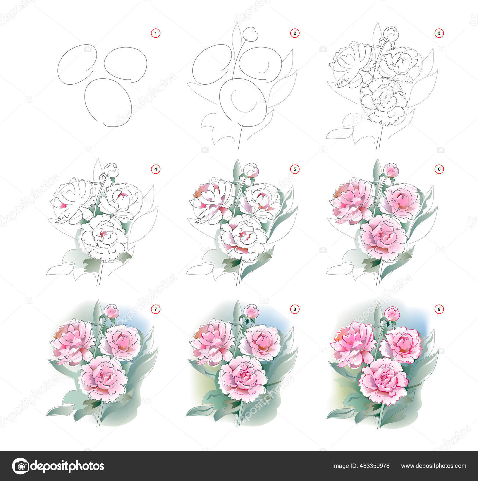 Como Aprender Desenhar Esboço Flores Peônias Criação Passo Passo Pintura  imagem vetorial de Nataljacernecka© 483359978