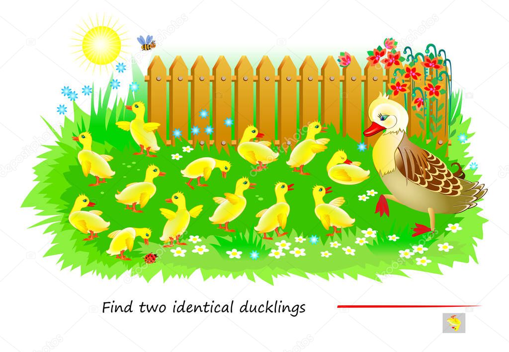 Logic puzzle game for children and adults. Find two identical ducklings. Memory exercises for seniors. Page for brain teaser book. Kids activity sheet. IQ test. Play online. Vector illustration.