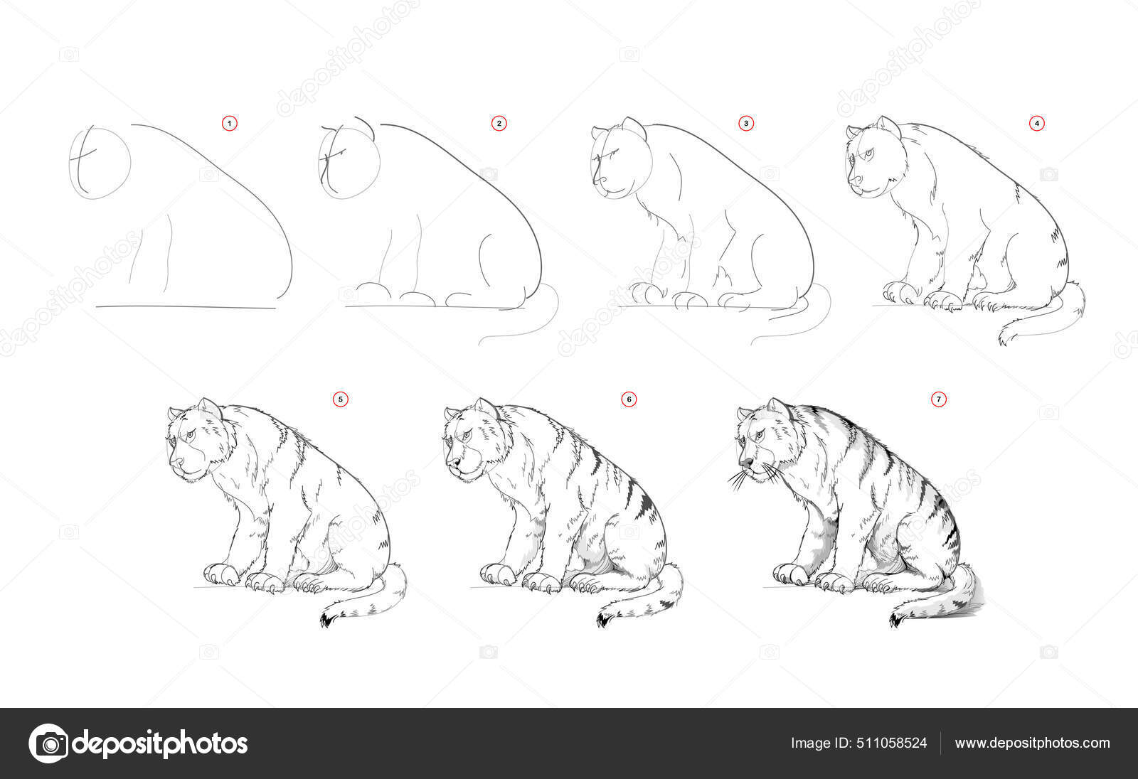 Página Mostra Como Aprender Desenhar Esboço Tigre Bonito Criação