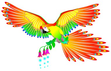 Fairyland fantezi papağan resmi.