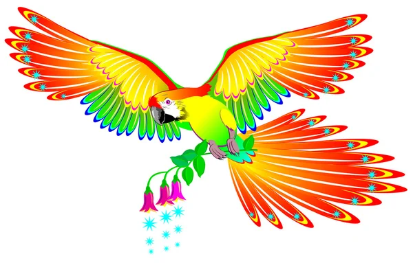 Illustratie van sprookjesland fantasie parrot. — Stockvector