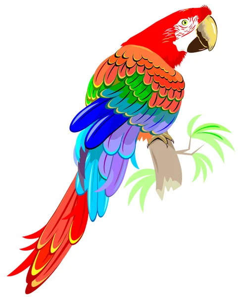 Illustration of funny parrot siting on the branch. — Stock Vector