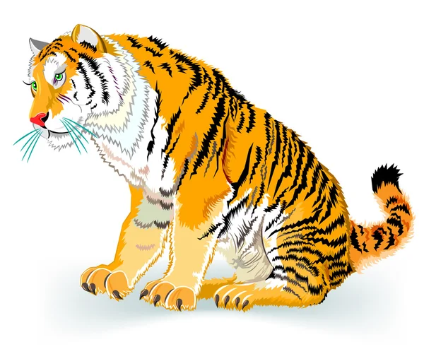 Ilustração de Tigre . — Vetor de Stock