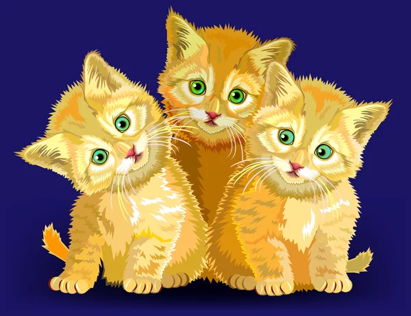 Illustration of three little kittens. — Stock Vector