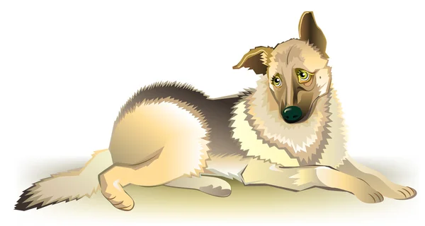 Illustration av ledsen hund. — Stock vektor